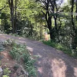 Cabana Alpina